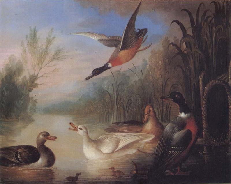 Marmaduke Cradock Waterfowl in a Landscape Germany oil painting art